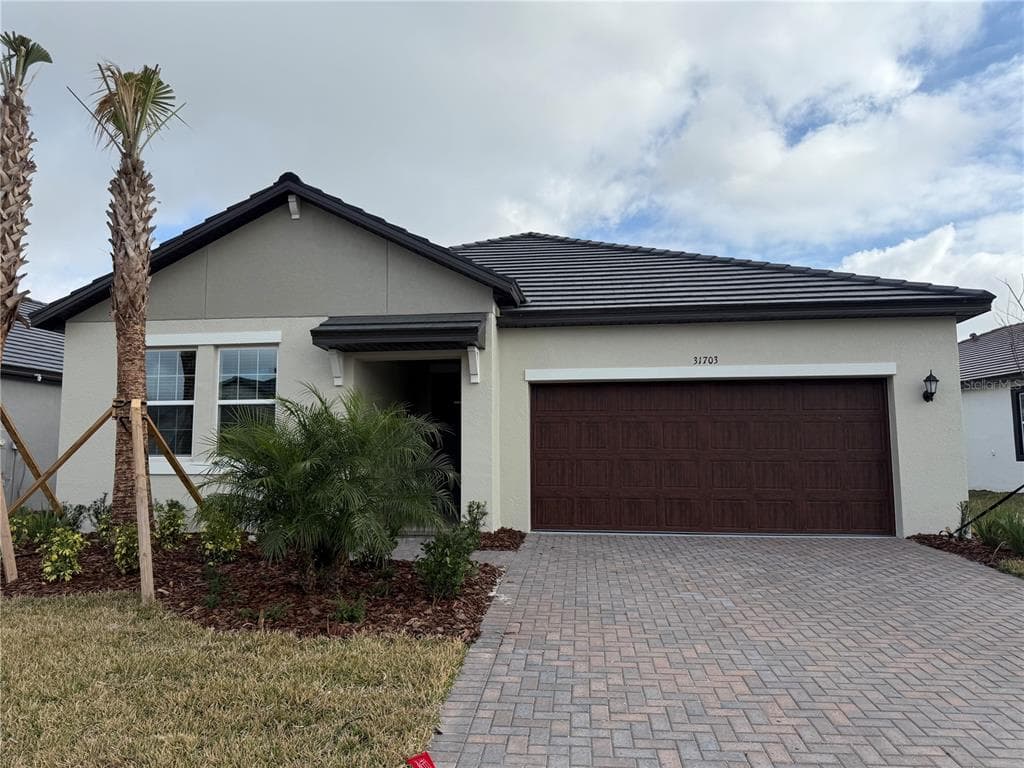 31703 GRIFFIN SANDS LANE SAN ANTONIO, FL 33576
