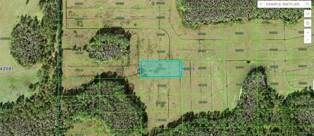 SUN JUAN AVE POLK CITY, FL 33868