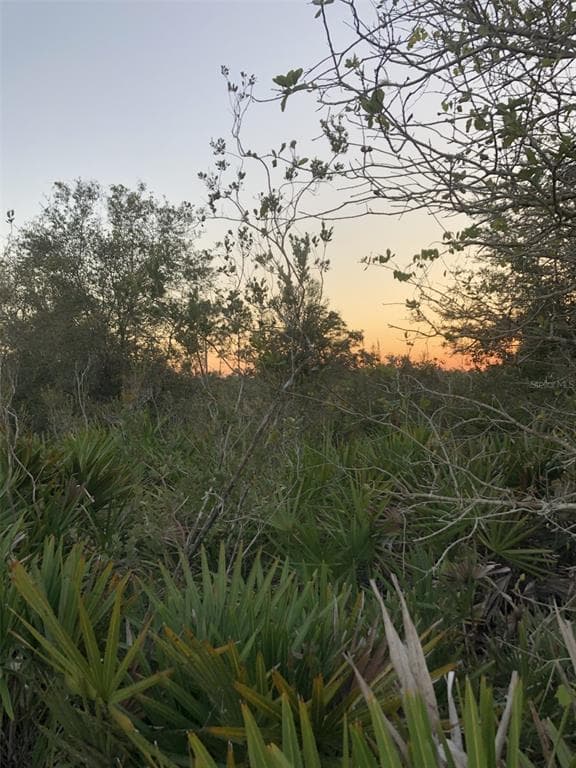 1111 PORTULACA DRIVE INDIAN LAKE ESTATES, FL 33855