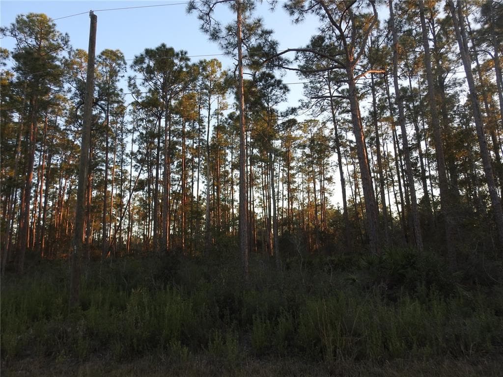 320 GALLARDIA DRIVE INDIAN LAKE ESTATES, FL 33855