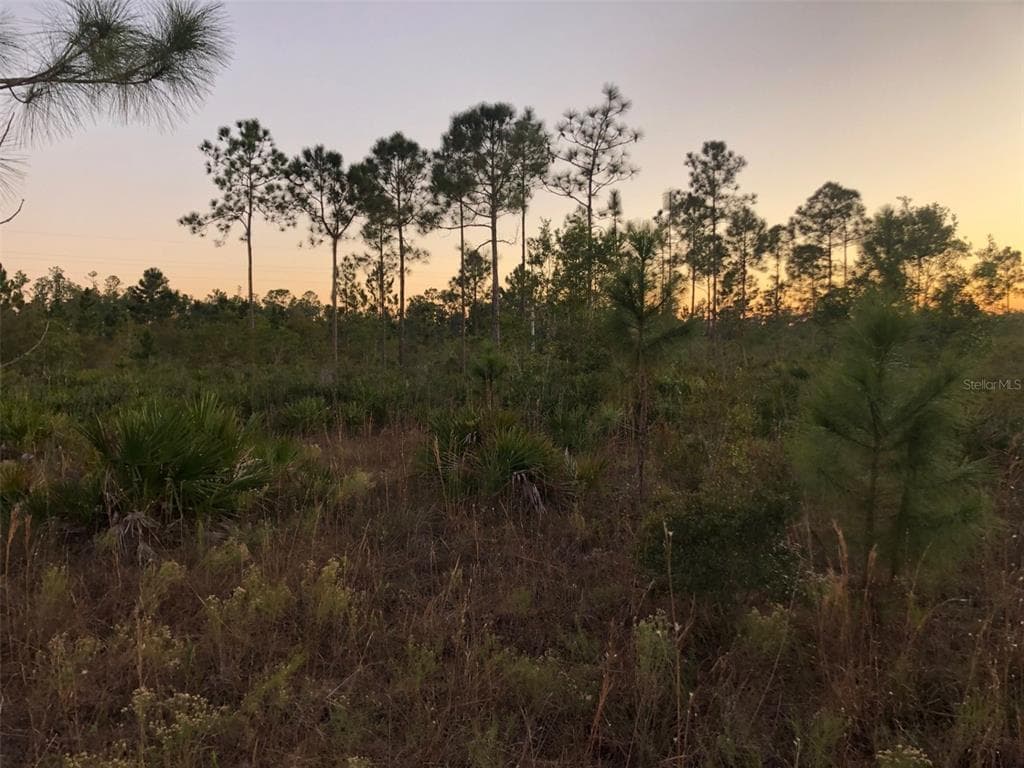 0 HERON COURT INDIAN LAKE ESTATES, FL 33855