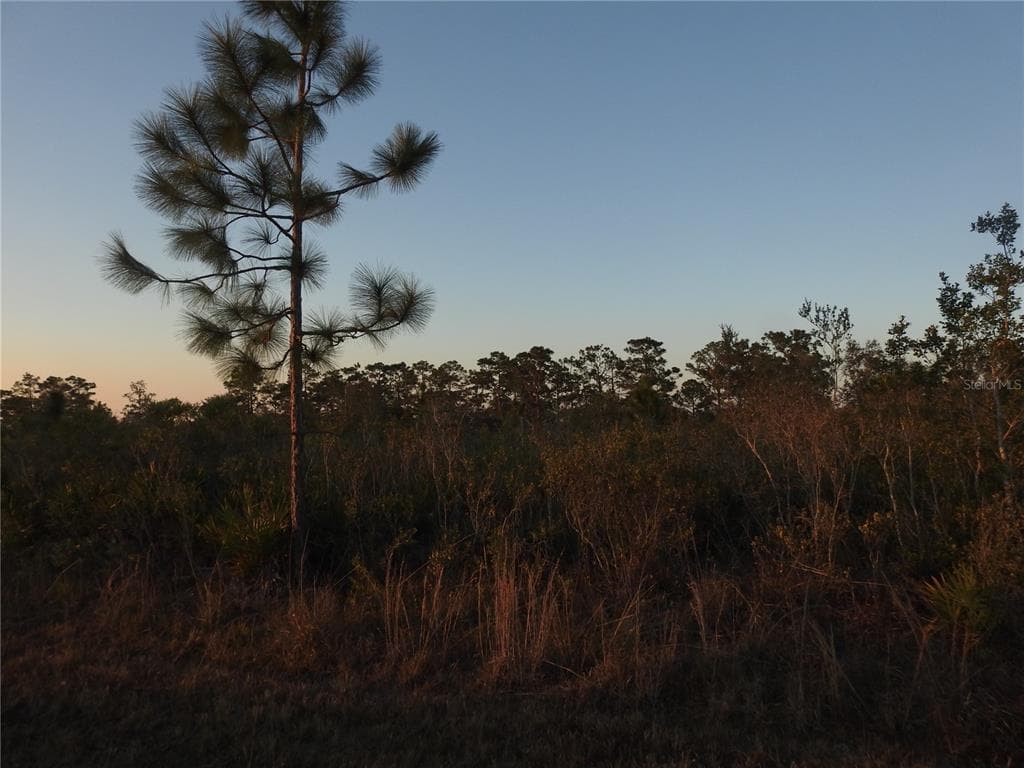 406 MAGNOLIA DRIVE INDIAN LAKE ESTATES, FL 33855