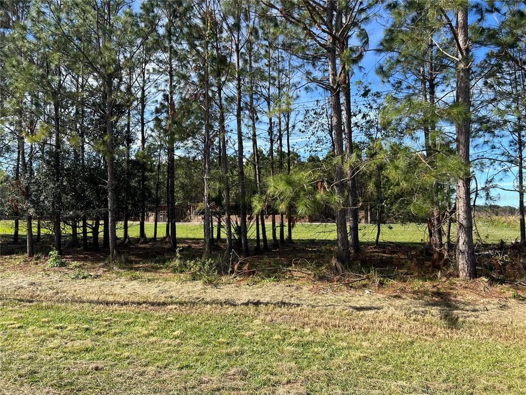 17609 BLEDSOE LOOP LITHIA, FL 33547