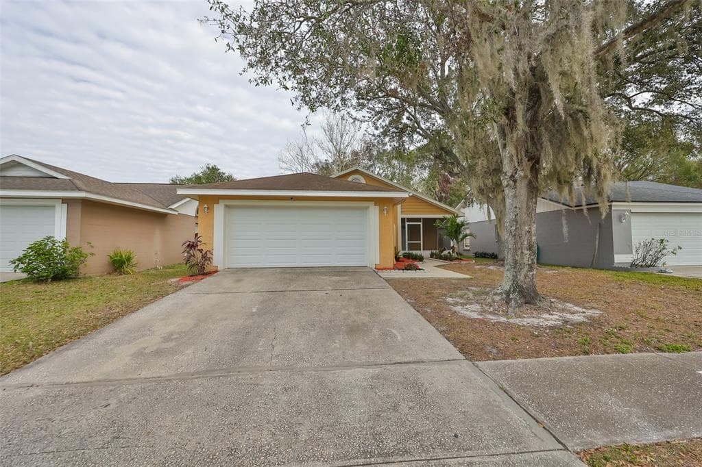 10828 PEPPERSONG DRIVE RIVERVIEW, FL 33578