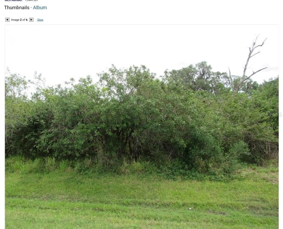 11208 US-41 N
