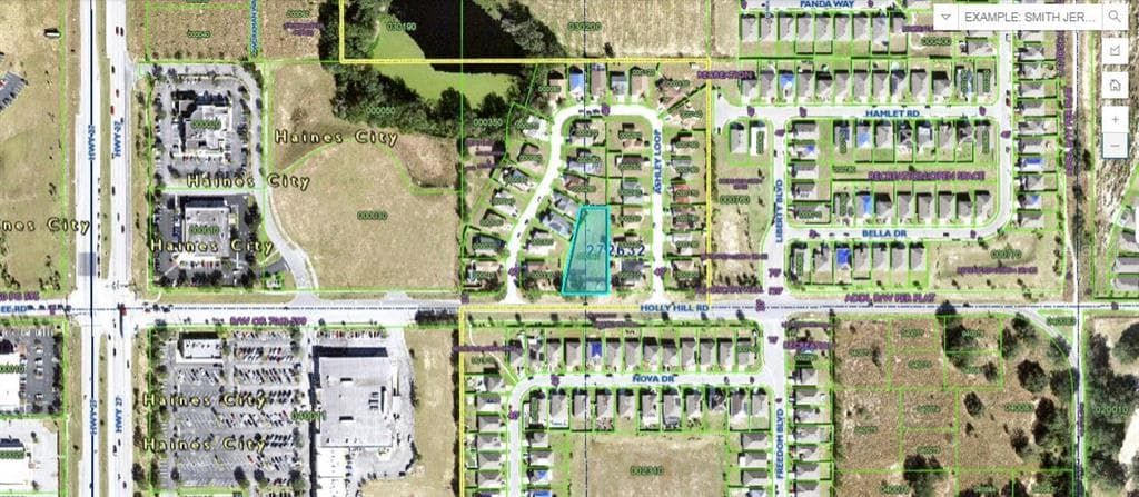 HOLLY HILL ROAD DAVENPORT, FL 33837