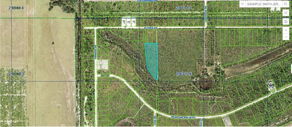 ALTHEA DRIVE INDIAN LAKE ESTATES, FL 33855