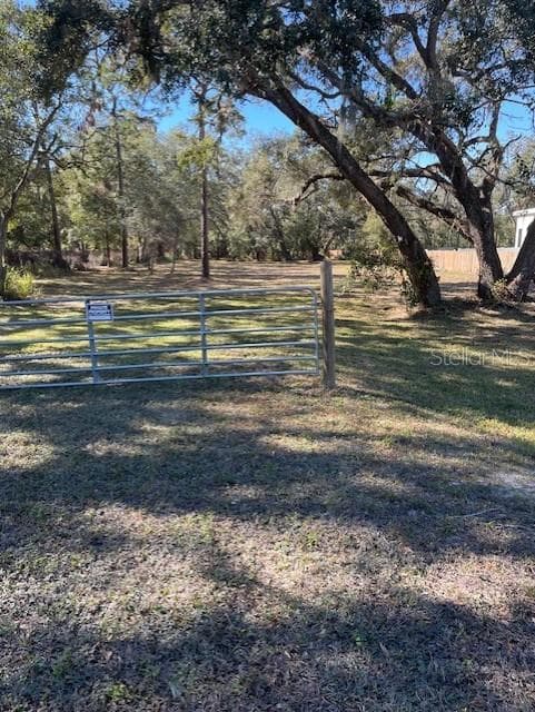 0 GUNN HIGHWAY ODESSA, FL 33556