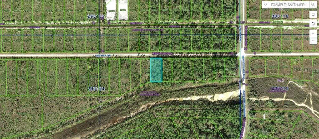 ALTHEA DRIVE INDIAN LAKE ESTATES, FL 33855