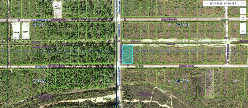 724 ALTHEA DRIVE INDIAN LAKE ESTATES, FL 33855
