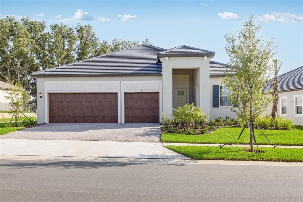 31672 CARDINAL YARD DRIVE SAN ANTONIO, FL 33576