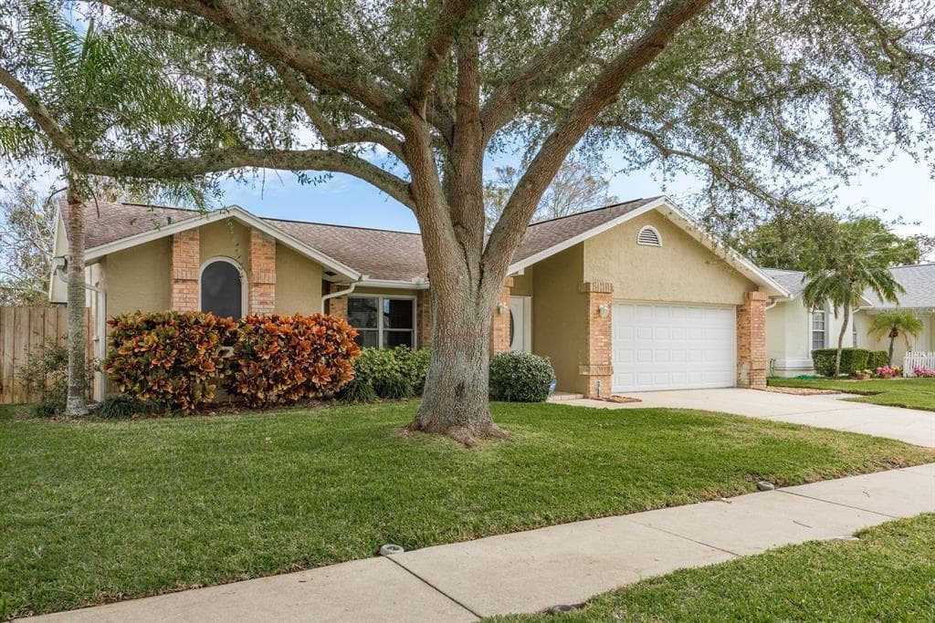 3048 ORCHARD DRIVE PALM HARBOR, FL 34684