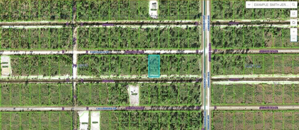 809 PORTULACA DRIVE INDIAN LAKE ESTATES, FL 33855