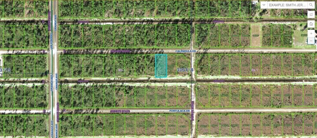 CALENDULA DRIVE INDIAN LAKE ESTATES, FL 33855