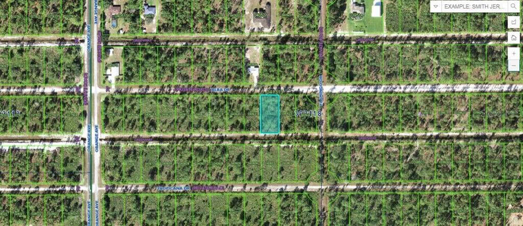 703 ALBA DRIVE INDIAN LAKE ESTATES, FL 33855