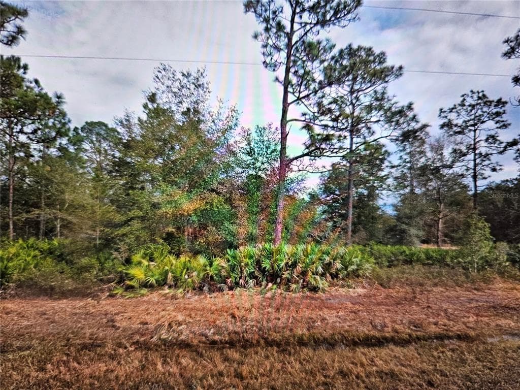 CREAGER AVE INTERLACHEN, FL 32148