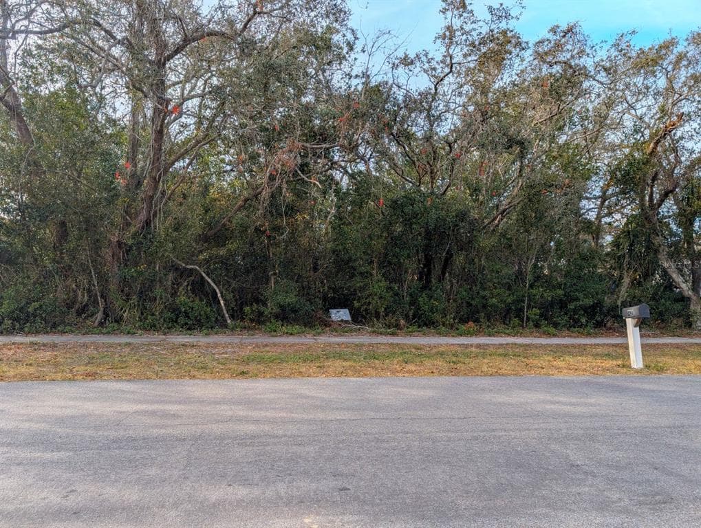 5427 ROBLE AVENUE SPRING HILL, FL 34608