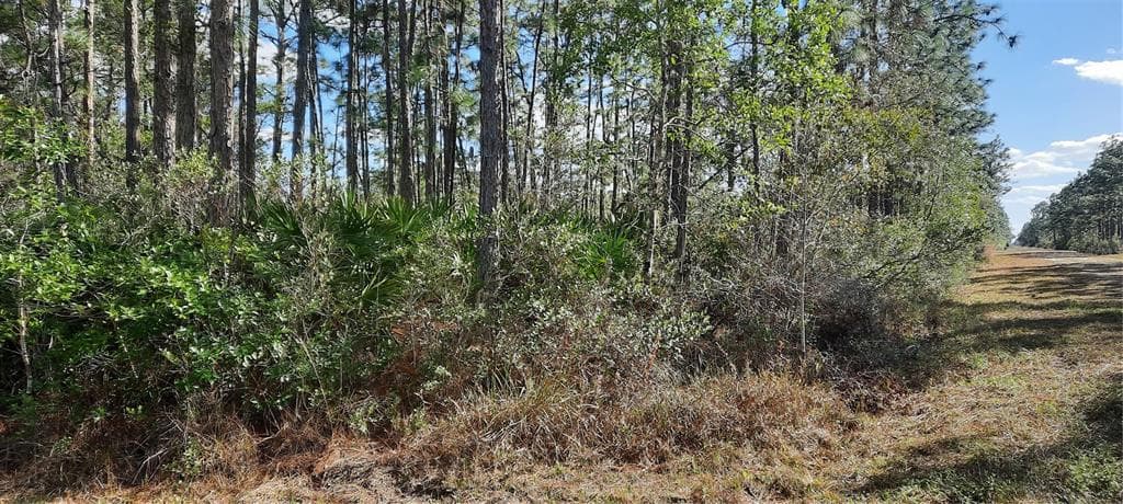 AZALEA DRIVE INDIAN LAKE ESTATES, FL 33855