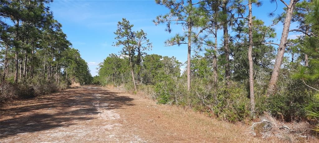 424 BOUGAINVILLE DRIVE INDIAN LAKE ESTATES, FL 33855