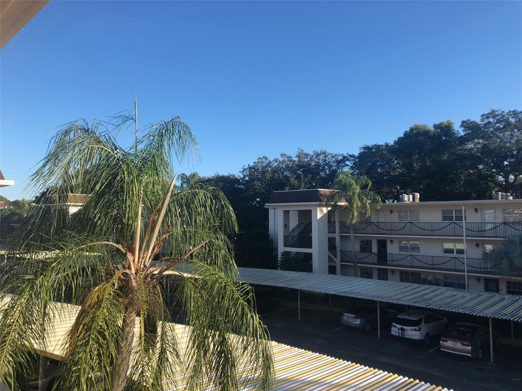 851 MAPLE COURT UNIT 203 DUNEDIN, FL 34698