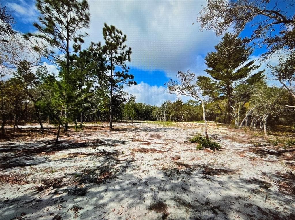 13100 SADDLEBACK TRAIL HUDSON, FL 34667