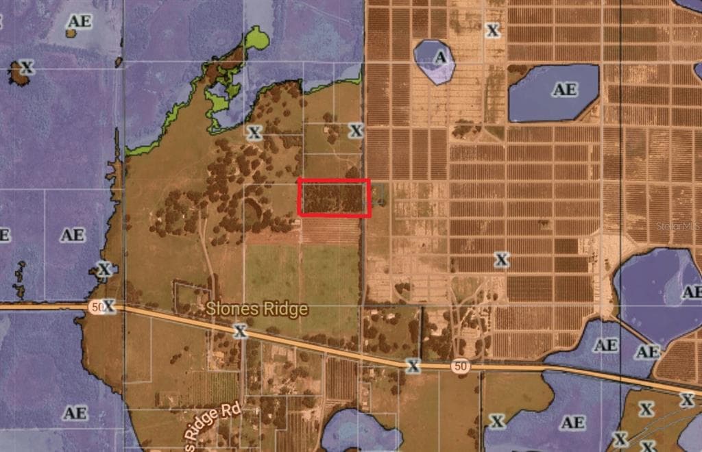 16213 CLARENCE LEE ROAD GROVELAND, FL 34736