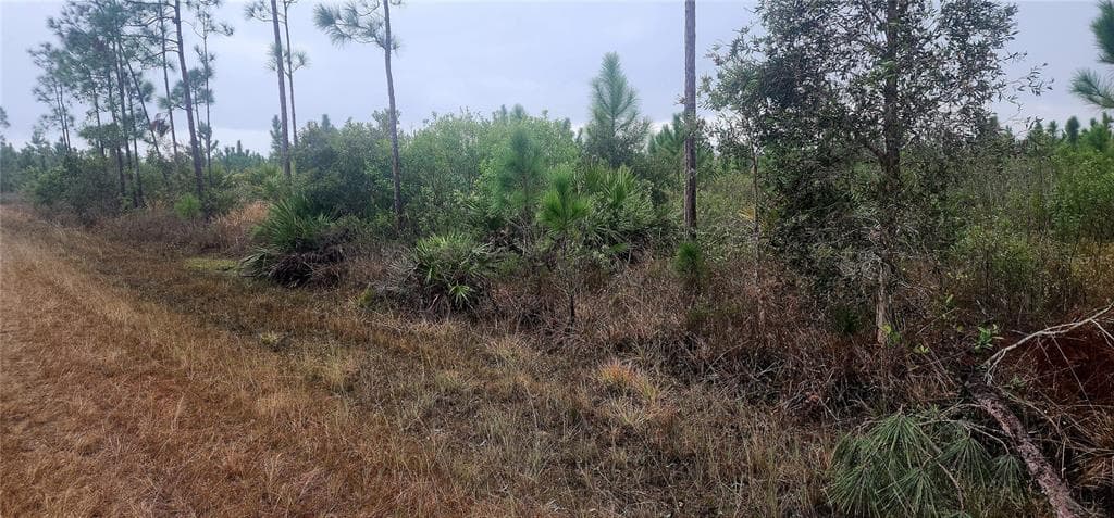 619 CALENDULA DRIVE INDIAN LAKE ESTATES, FL 33855