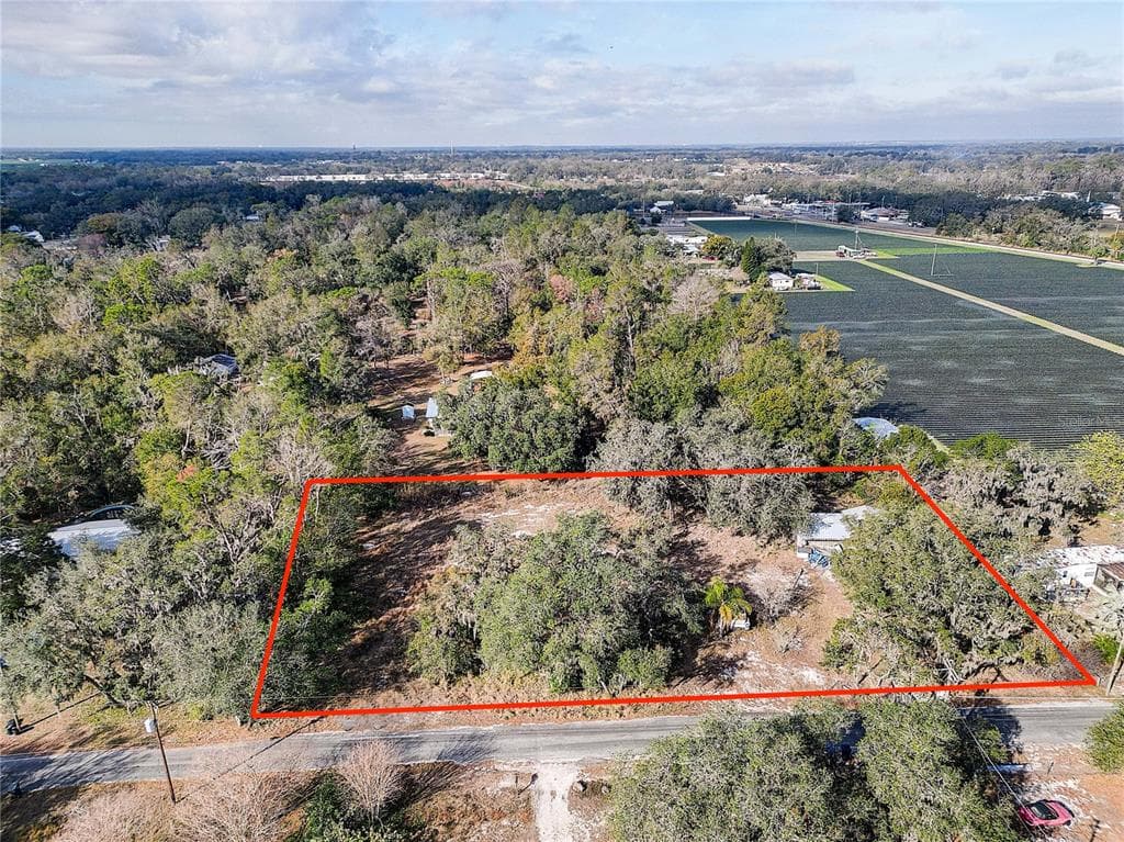 1409 WILKINSON DRIVE PLANT CITY, FL 33566