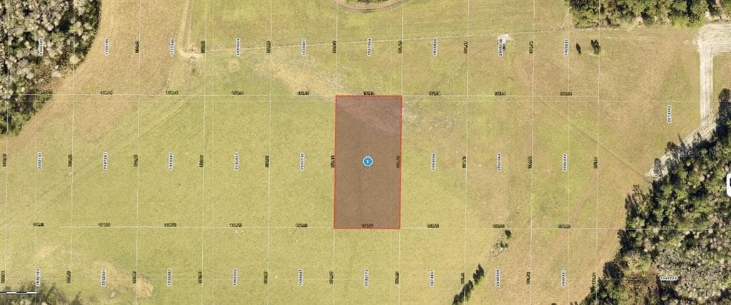 SR-33 CLERMONT, FL 34714