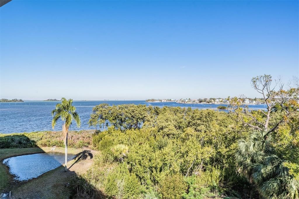 2700 BAYSHORE BOULEVARD UNIT 11301