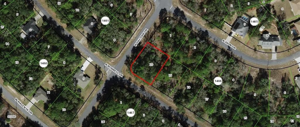 11009 N MORRELL DRIVE CITRUS SPRINGS, FL 34434