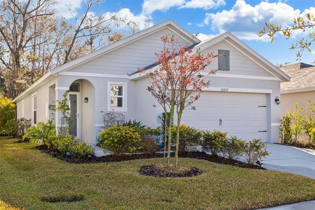 32857 BROOKS HAWK LANE WESLEY CHAPEL, FL 33543