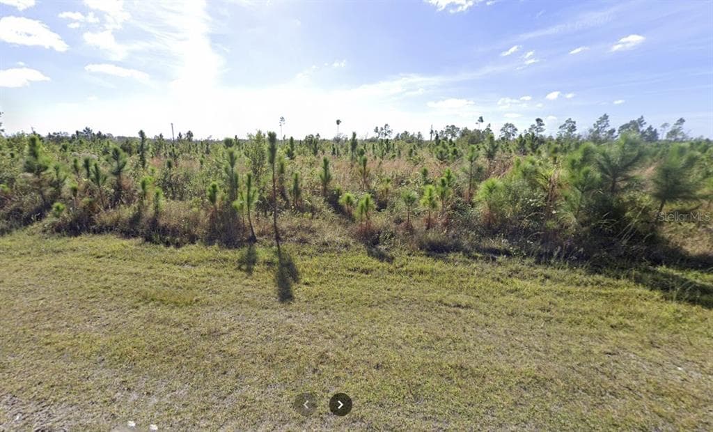 205 ALBA DRIVE INDIAN LAKE ESTATES, FL 33855