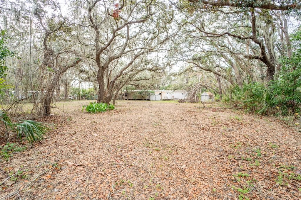 10907 LANI LANE LITHIA, FL 33547