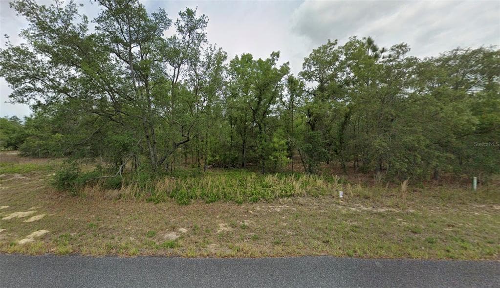 1343 W DUPONT DRIVE CITRUS SPRINGS, FL 34434