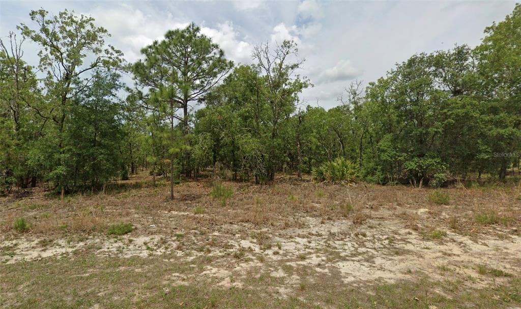 6198 N DARLINGTON DRIVE CITRUS SPRINGS, FL 34434
