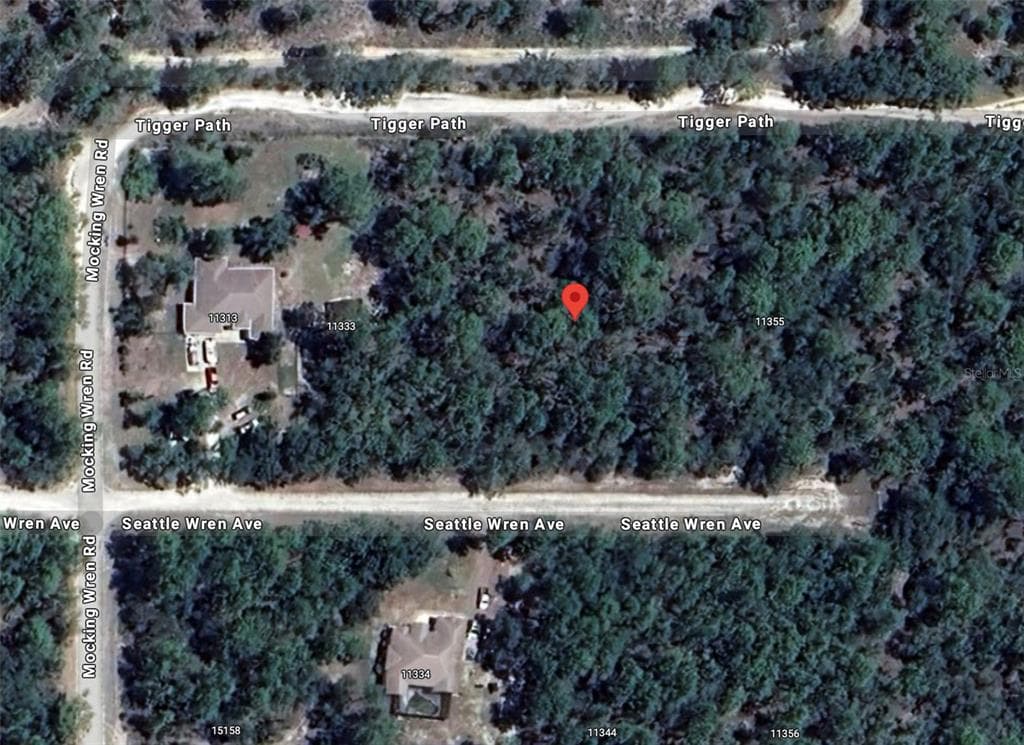 11343 SEATTLE WREN AVENUE WEEKI WACHEE, FL 34614