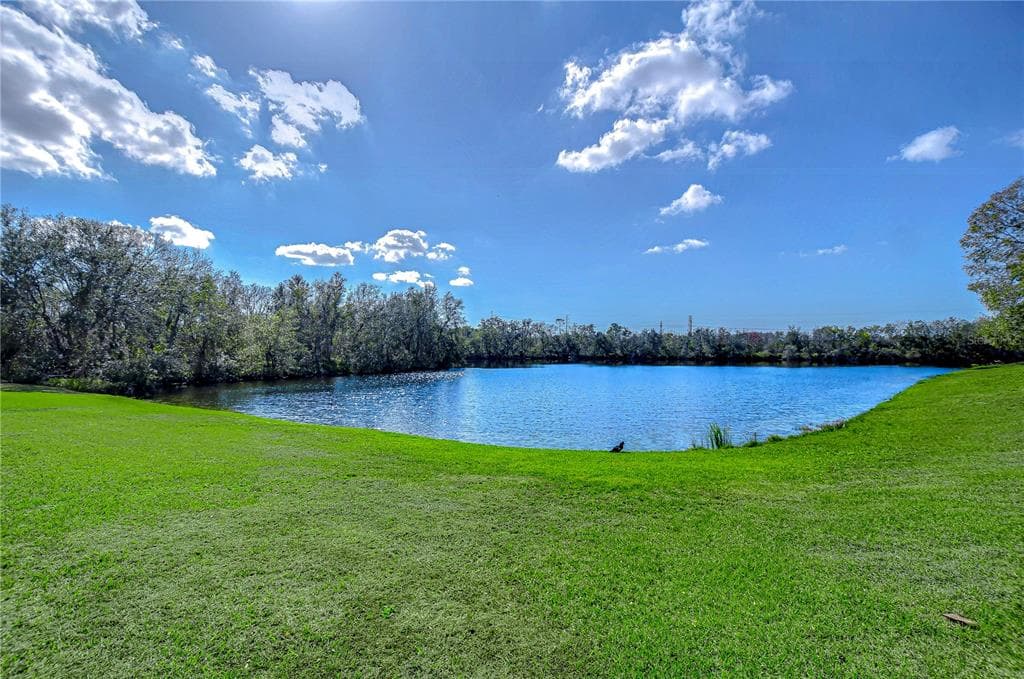 13908 ORANGE DALE PLACE TAMPA, FL 33625