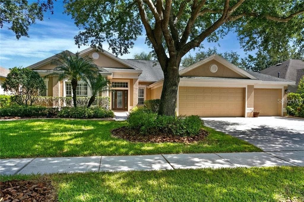 10240 SHADOW BRANCH DRIVE TAMPA, FL 33647