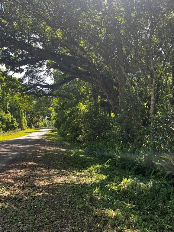 0 JENKINS AVENUE MASARYKTOWN, FL 34604
