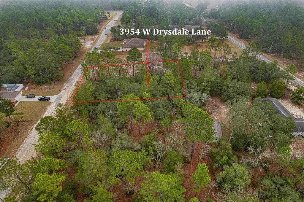3954 W DRYSDALE LANE CITRUS SPRINGS, FL 34433