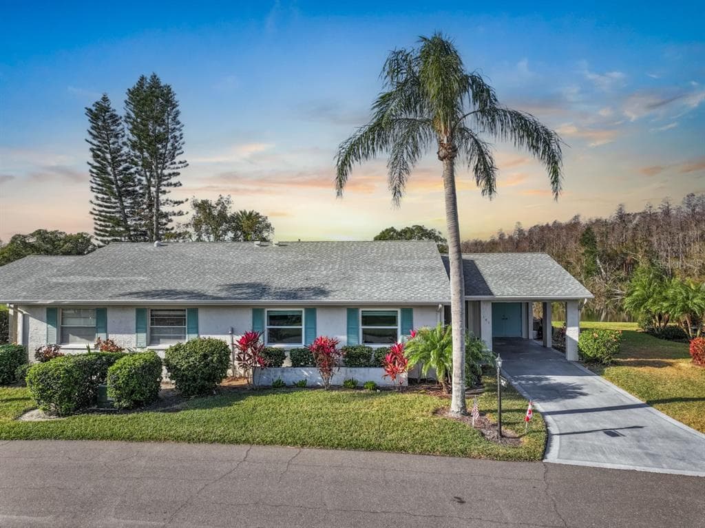 141 GLENDOWER CIRCLE UNIT 250 SUN CITY CENTER, FL 33573
