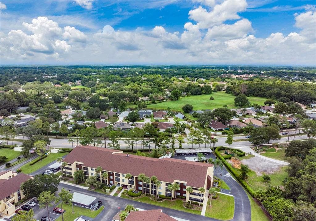 13602 S VILLAGE DRIVE UNIT 1206 TAMPA, FL 33618