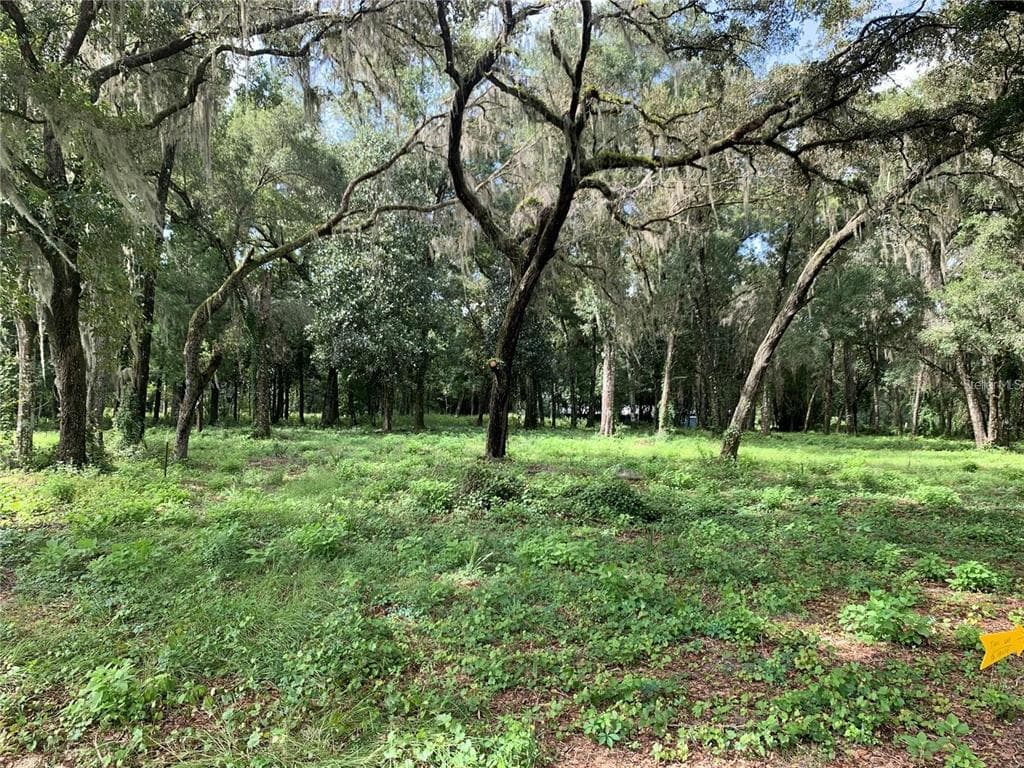 0 WC 48 BUSHNELL, FL 33513