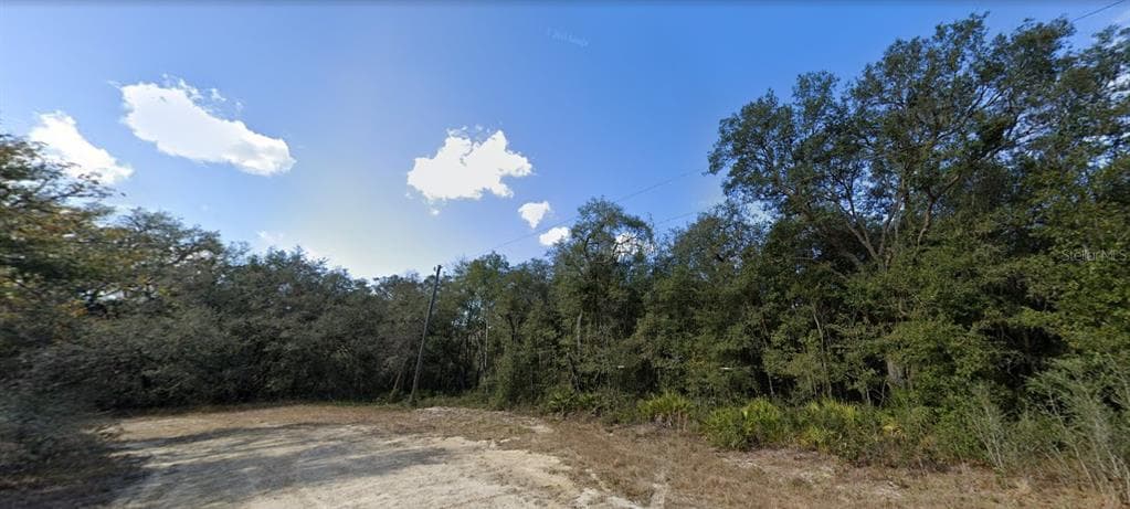 32431 HEADSTONE STREET WEBSTER, FL 33597
