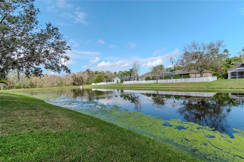 27045 FIREBUSH DRIVE WESLEY CHAPEL, FL 33544