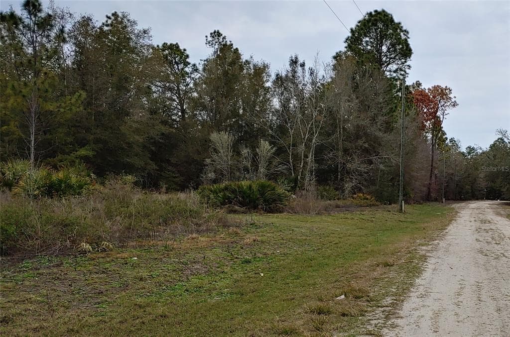 8884 N DELENE TERRACE CRYSTAL RIVER, FL 34428