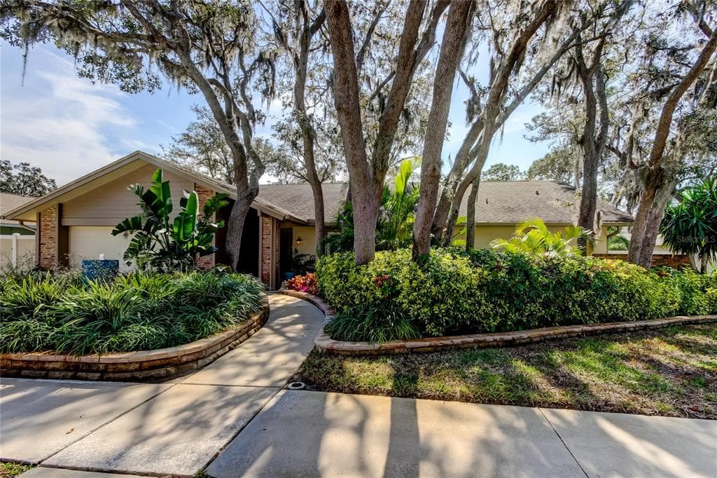 3089 ENISGLEN DRIVE PALM HARBOR, FL 34683