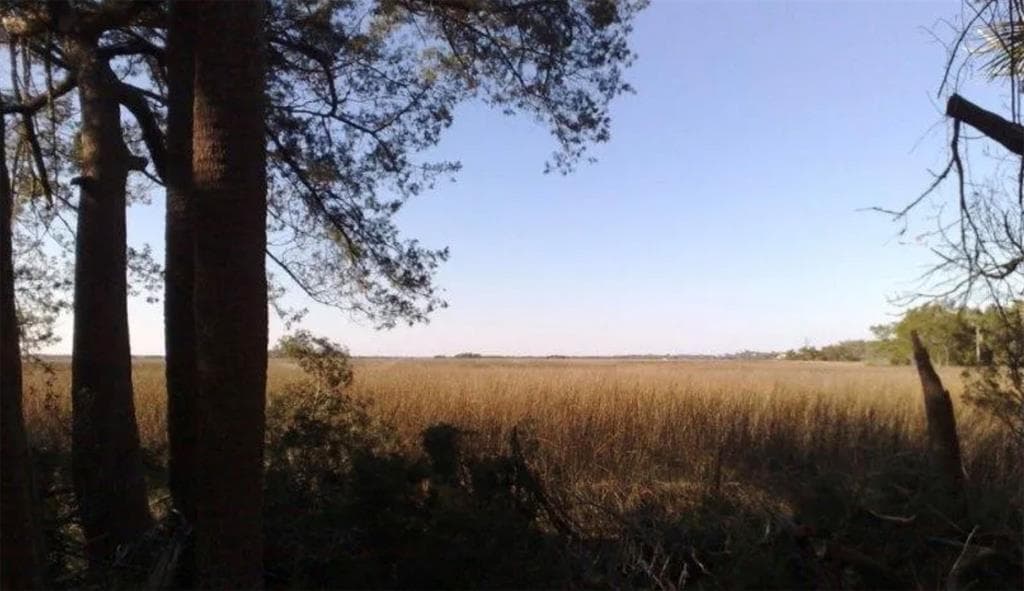 1742 HARRINGTON PARK DRIVE JACKSONVILLE, FL 32225