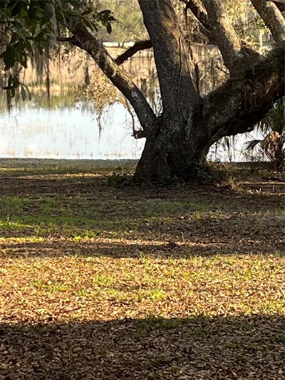 5118 SHOREWOOD DRIVE DADE CITY, FL 33523